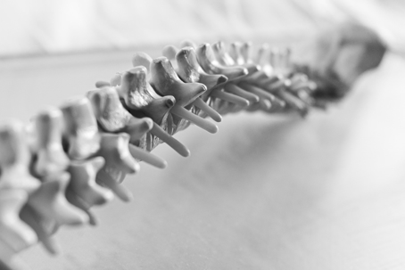 Spinal Cord Injury